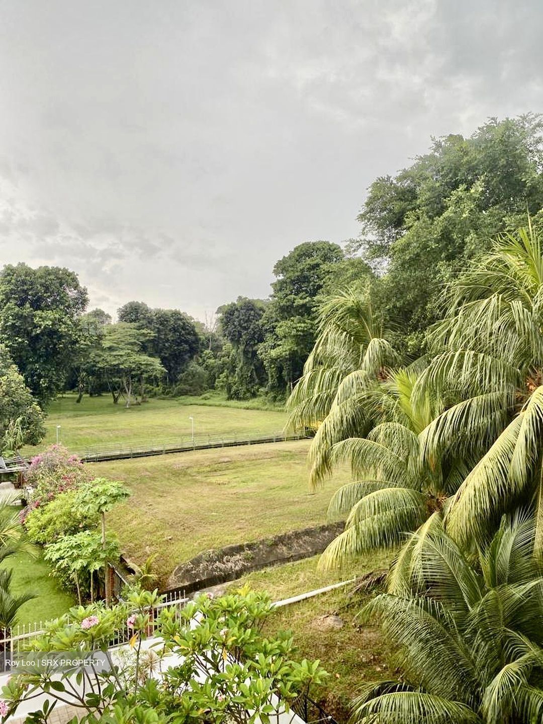 Upper East Coast Road (D16), Terrace #503431941